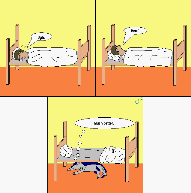 Strip #81