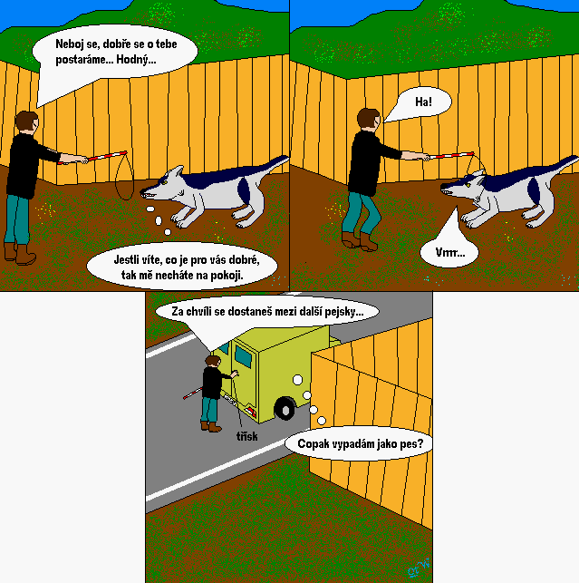 Strip #34a
