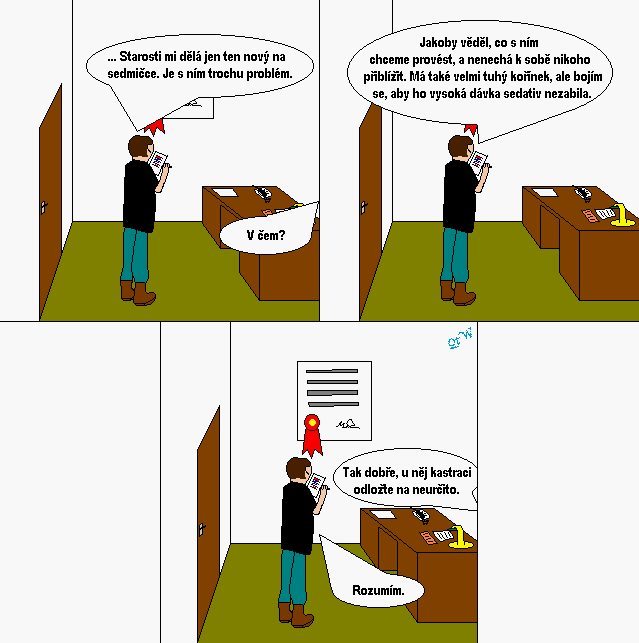 Strip #34c