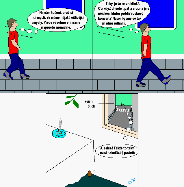 Strip #6