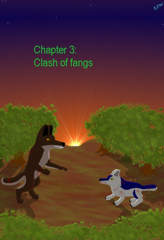 WFMT - Chapter 3, Cover