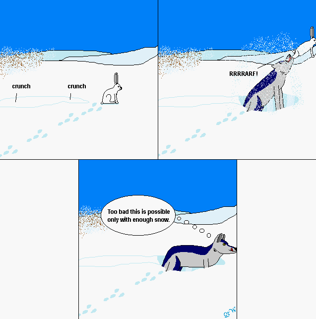Strip #68