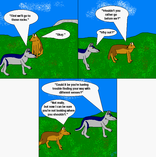 Strip #72g