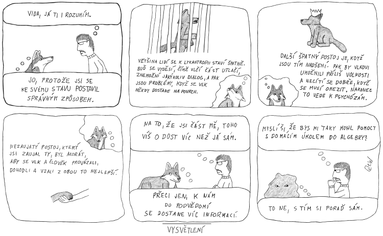 HaP21-Vysvětlení