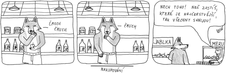 HaP25-Nakupování