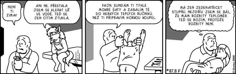 Part 363